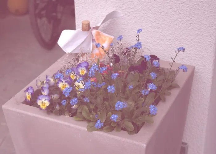 Stazione Ristorante Hotel